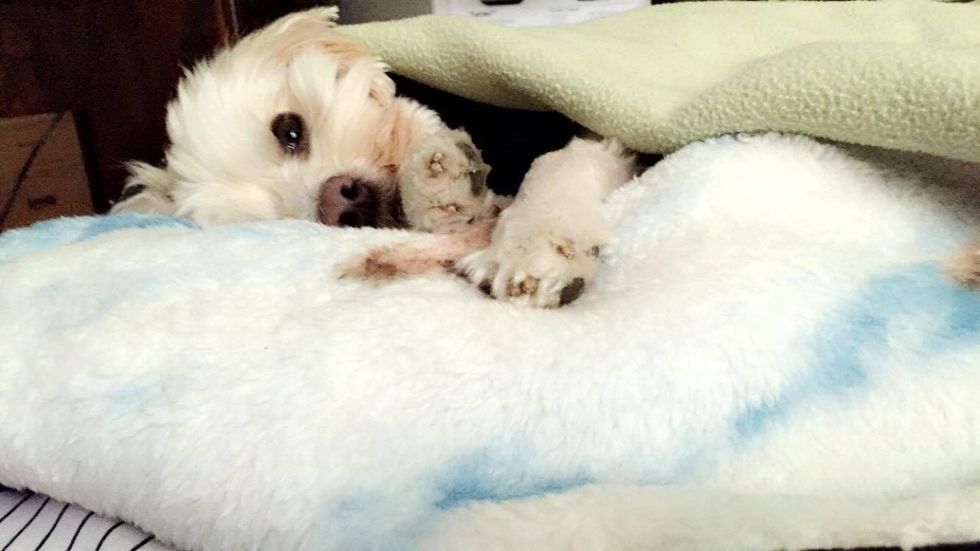 The Bond Between You And Me