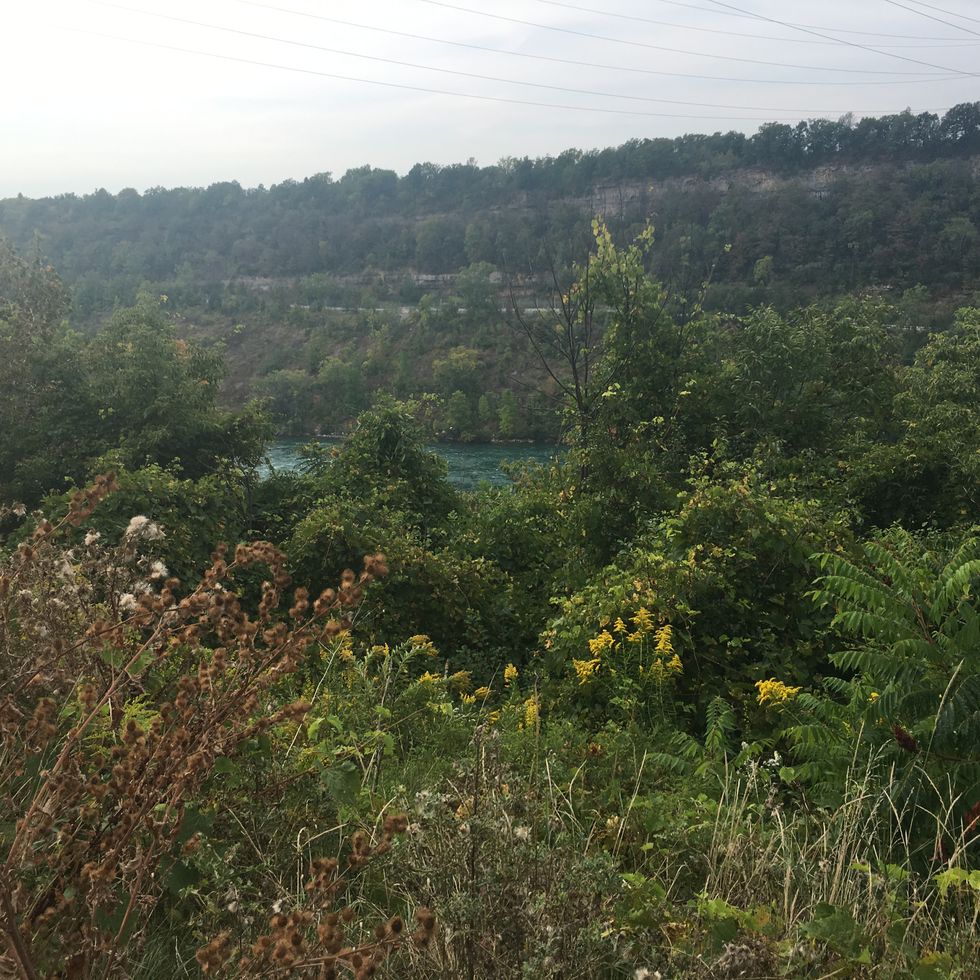 Dedication, Prayers, And Answers