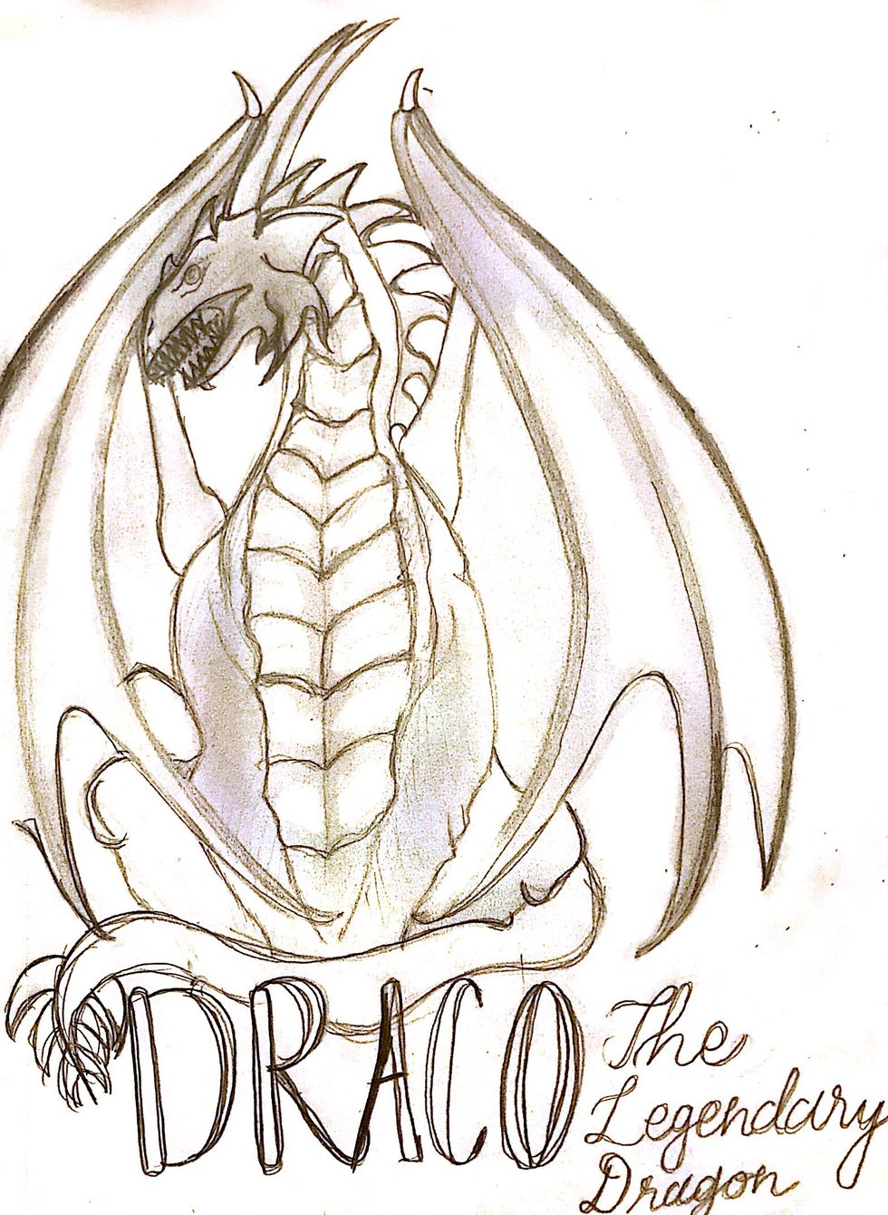 Draco The Legendary Dragon