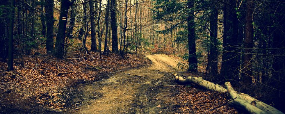 For the Girl That Has a Love/Hate Relationship with Autumn