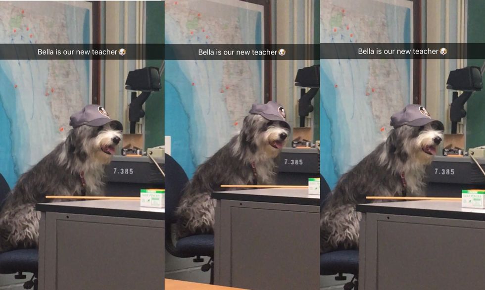 Having A Mid(Term) Life Crisis" This Week?