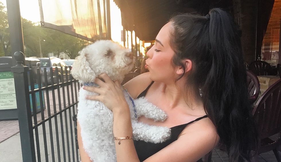 10 Reasons Why My Dog Is Just The Best