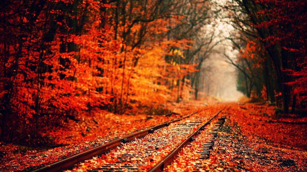 9 Unconventional Reasons To Love Fall