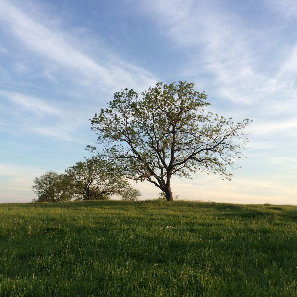 To The Boy Who I Never Thought Would Hurt Me