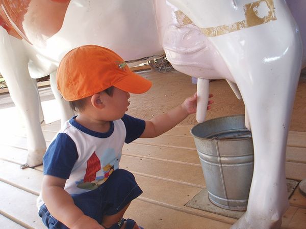 Why You Should Stop Drinking Milk