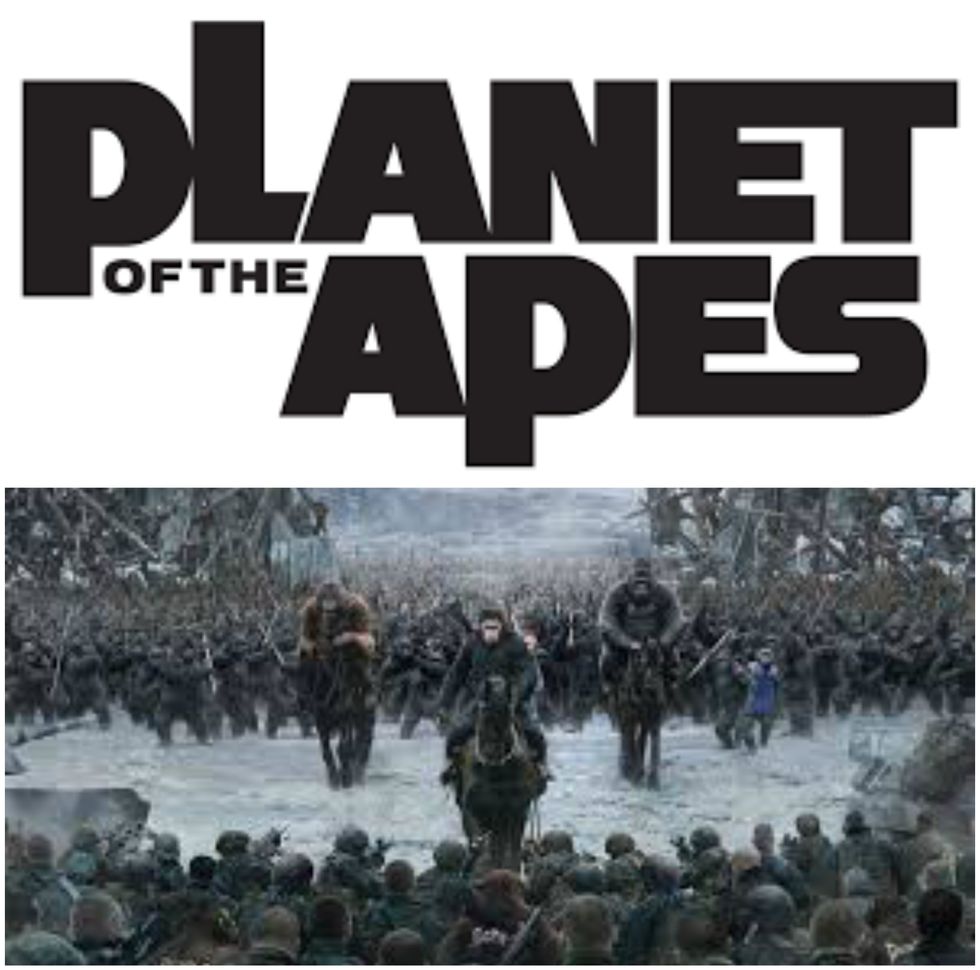 Apes are Better Than Humans