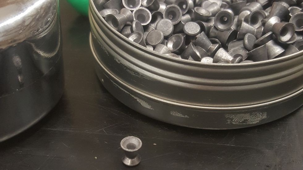 A Poem To The Pellet That Got Rejected