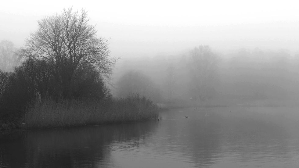 10 Of The Best Songs For November