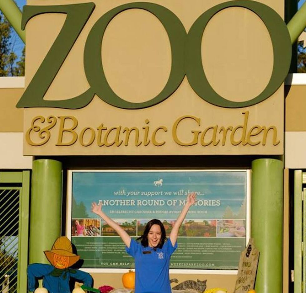 From A To Zootastic: The ABC's Of Zoos