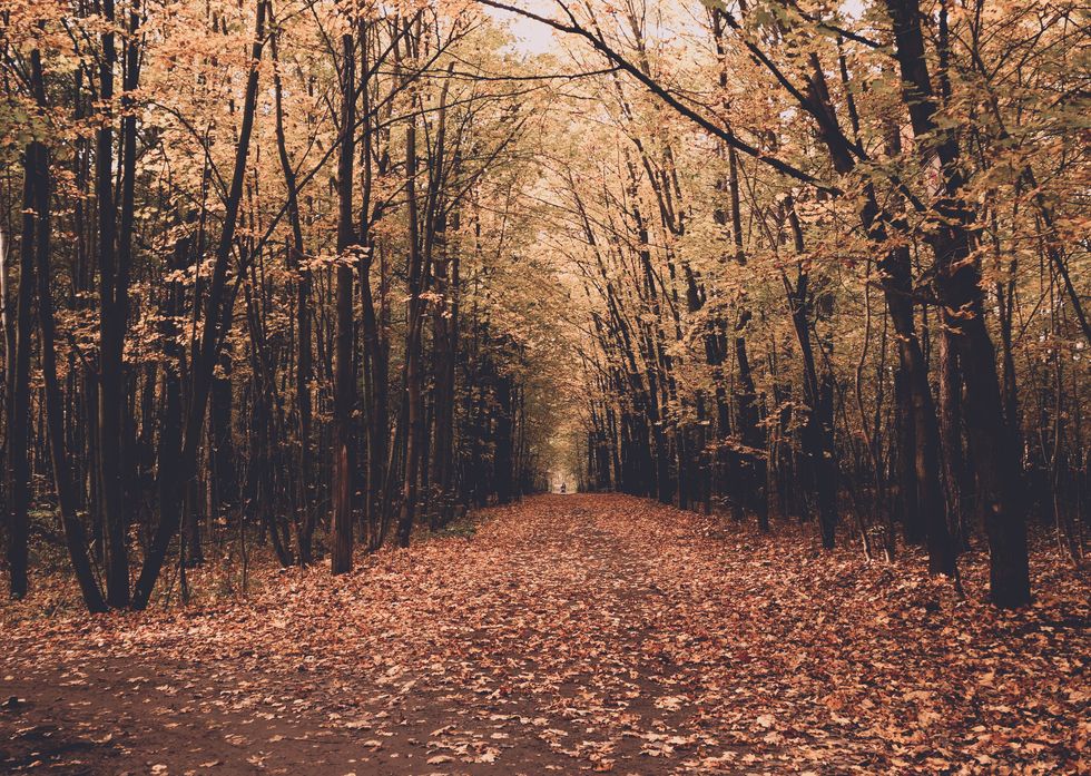 31 Activities That Need To Be On Your Fall Bucket List