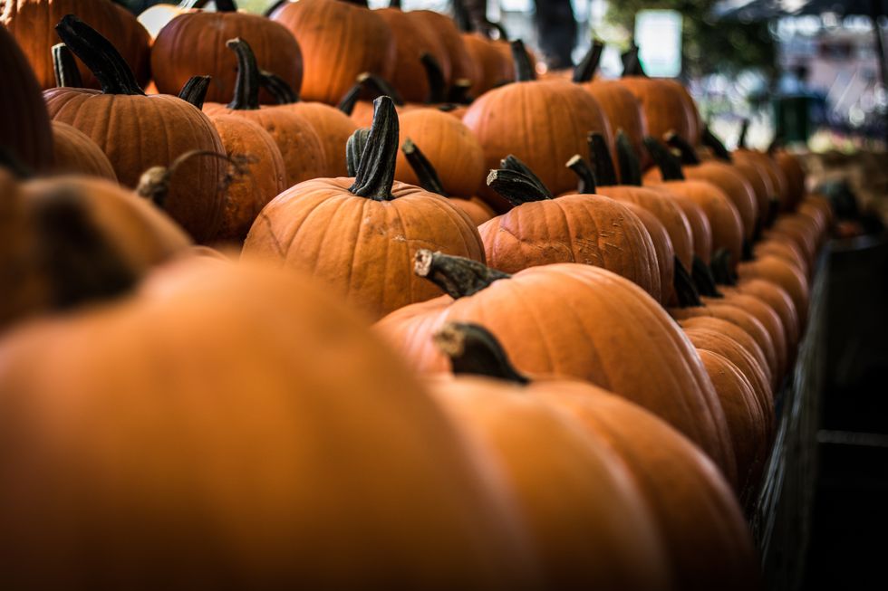 11 Ways To Incorporate Pumpkin Into Your Life