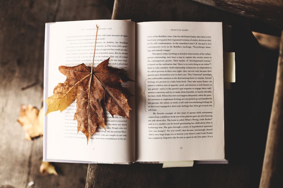 11 Books That Made Me Fall in Love With Reading
