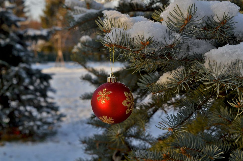 10 Ways To Give Back This Holiday Season