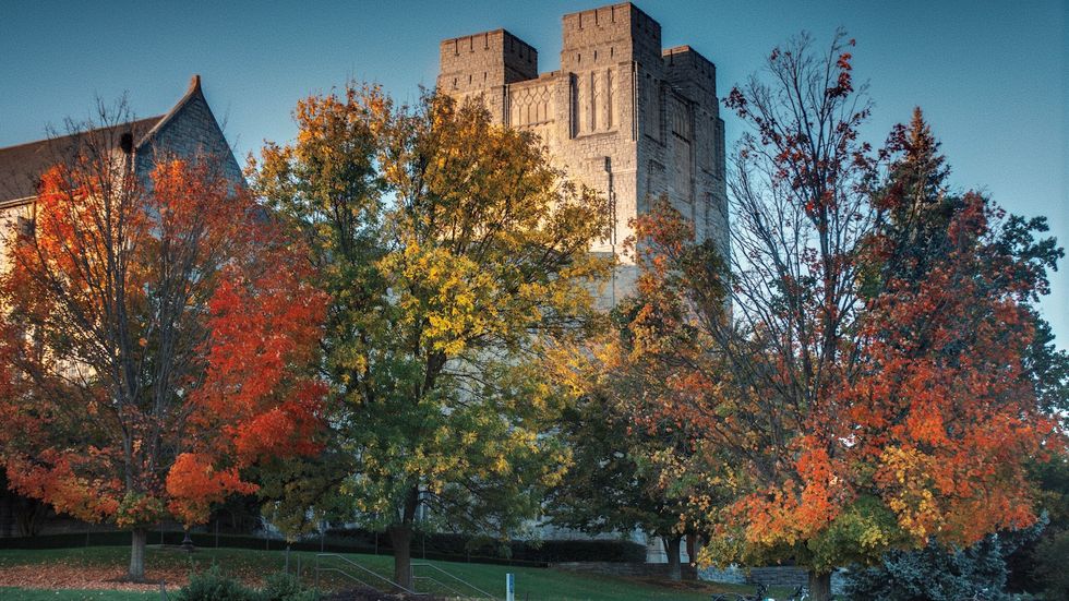 7 Sights From Virginia Tech's Campus Even MORE Beautiful During Fall