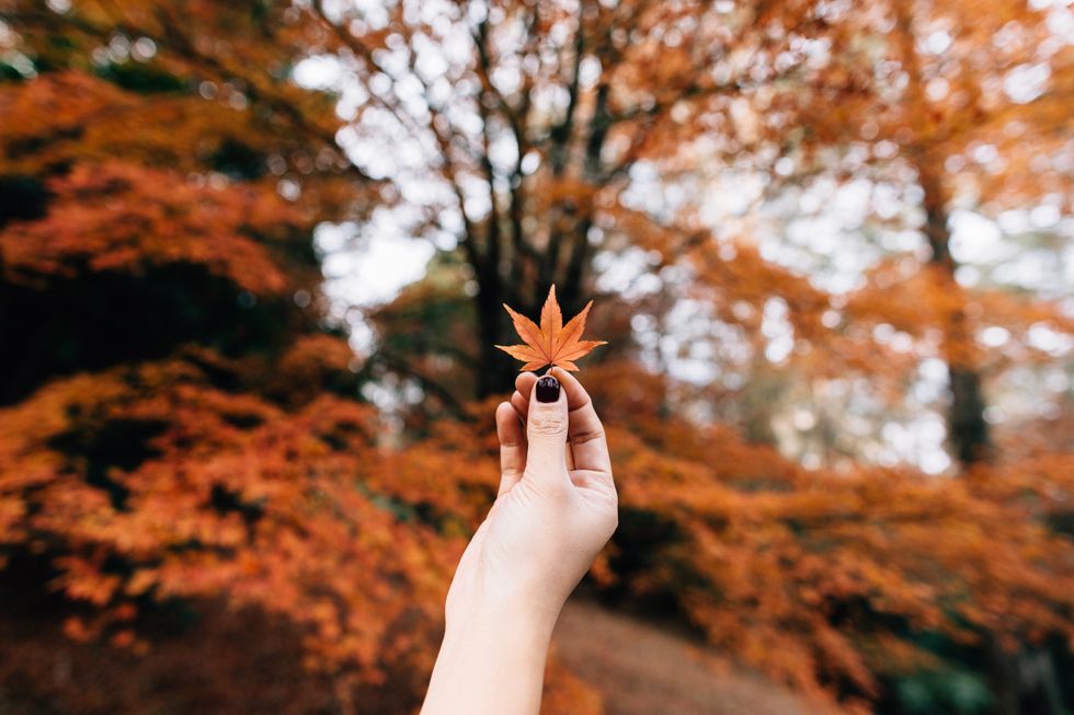 10 Reasons Fall Always Has Been And Always Will Be The Superior Season