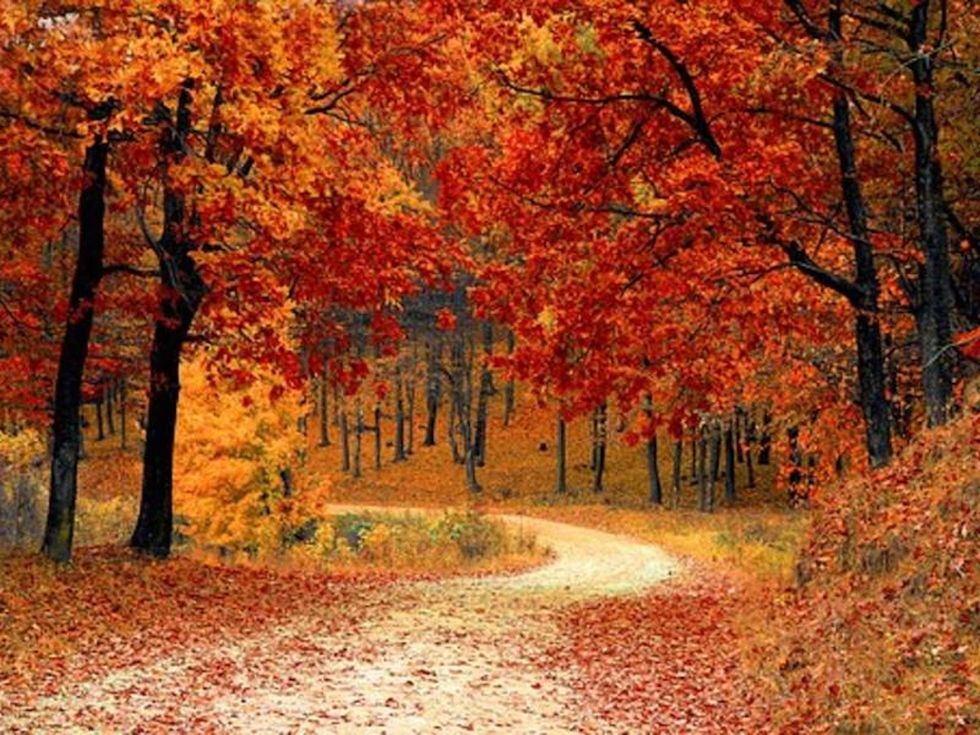 6 Ways To Continue Enjoying Fall