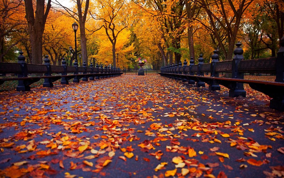 10 Fall Things To Do In New York City