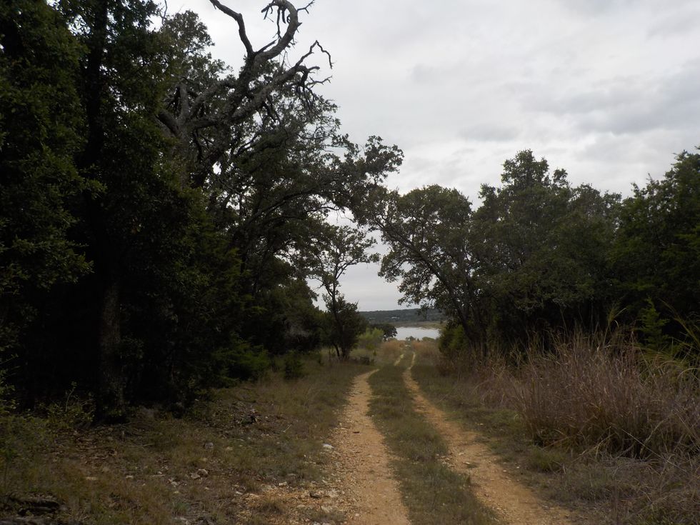 My Tribute To A Friend Who Lost Her Battle Against Drug Addiction