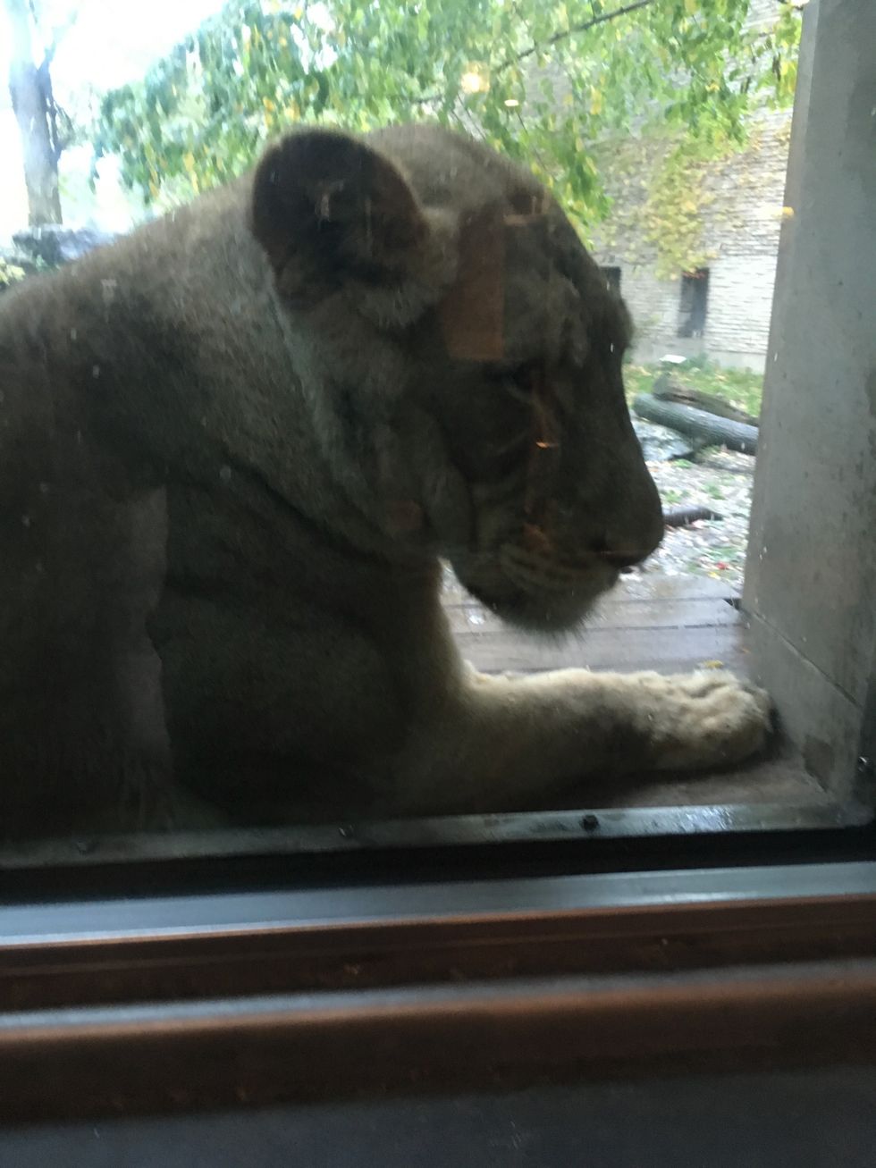 When a Nickname becomes a Label