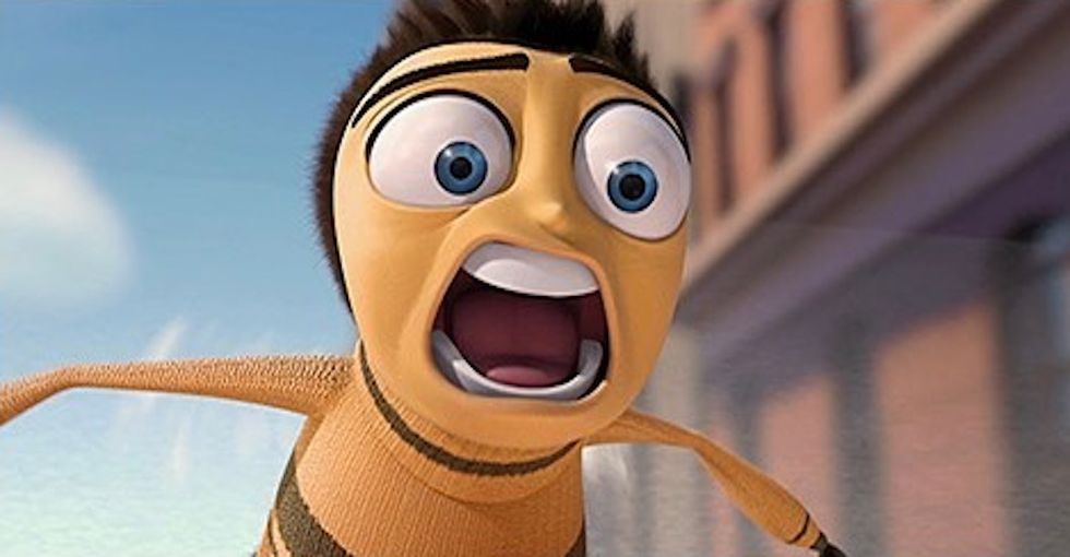 The Transition From High School To College, As Told By Barry B. Benson From 'Bee Movie'