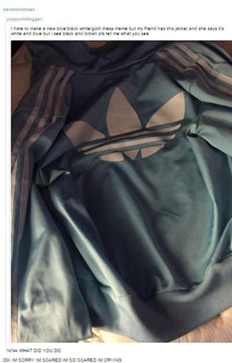 First 'The Dress,' Now 'The Jacket' | The Odyssey Online