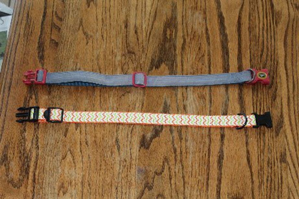 How To Make A DIY Dog Collar In 8 Easy Steps