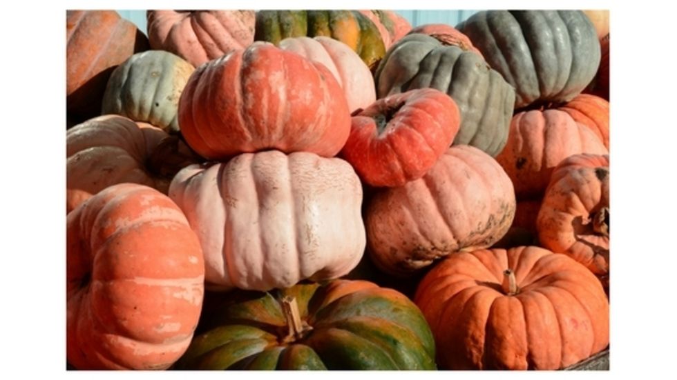 An Open Letter To Students Going Home For Thanksgiving Break