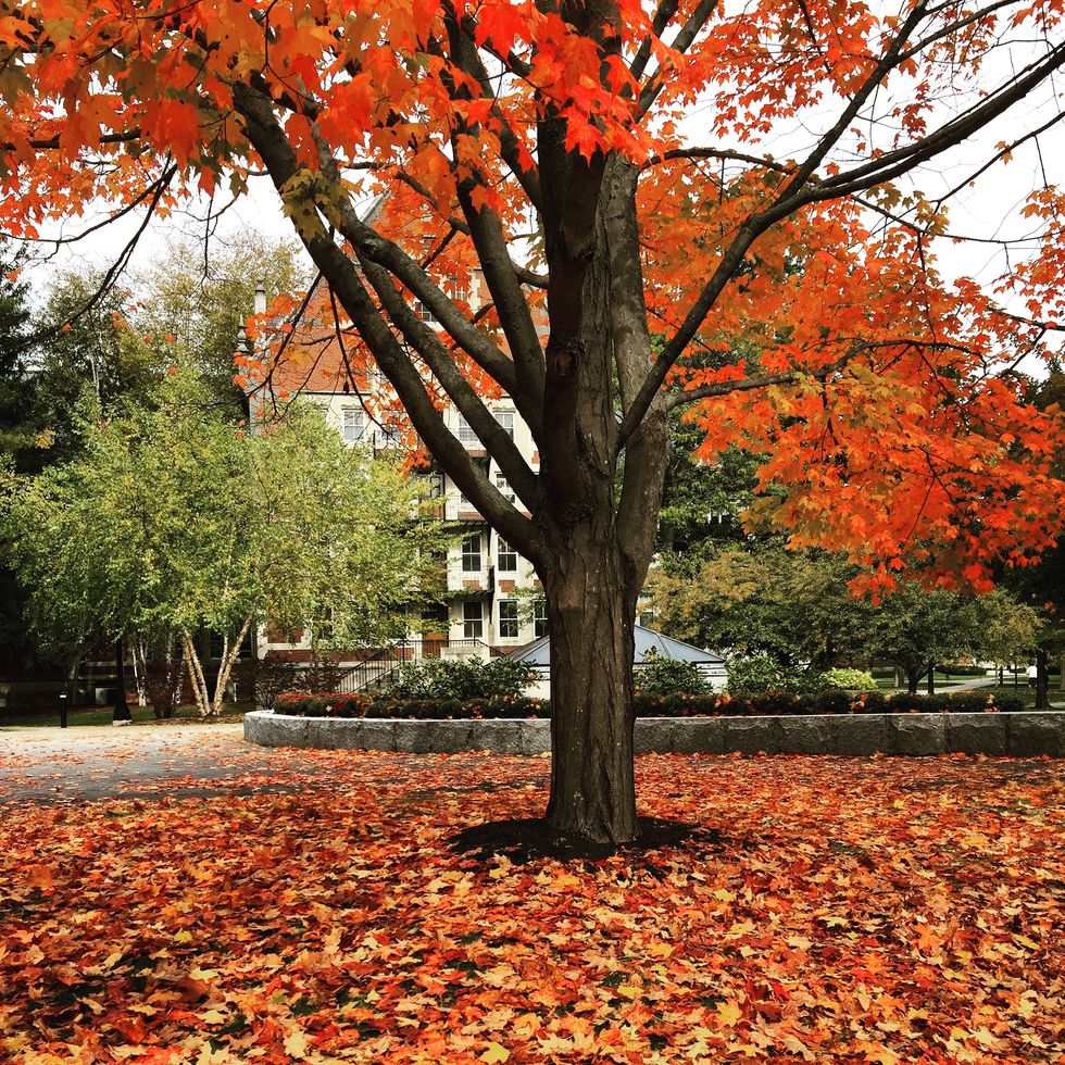 5 New Jersey Places You Must Eat At During the Fall