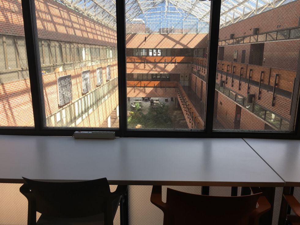 UF Freshmen, Check Out These 6 Hidden Gems On Campus