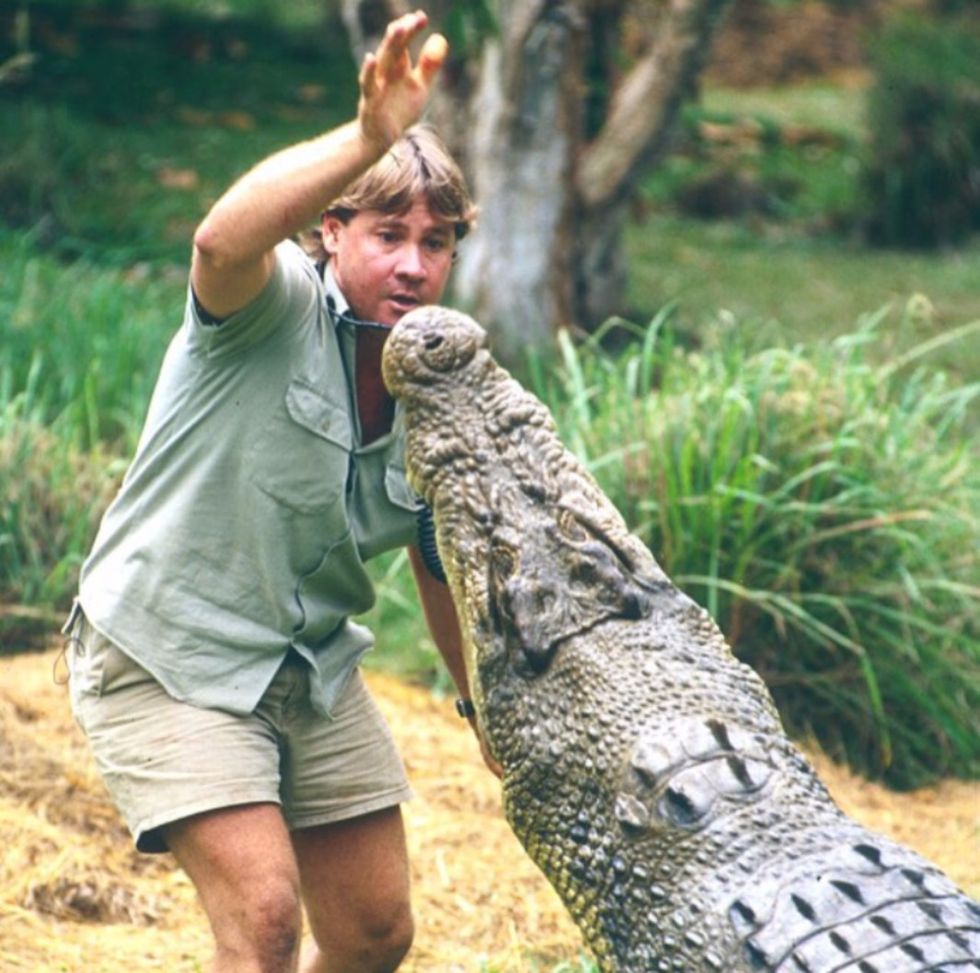 What The Crocodile Hunter Taught Me