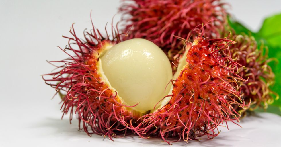 10 Entertaining Fruits To Try Over Winter Break