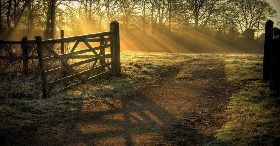 His Love, His Word, Has Always Been There