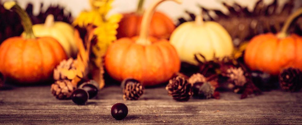7 Things To Do On Thanksgiving
