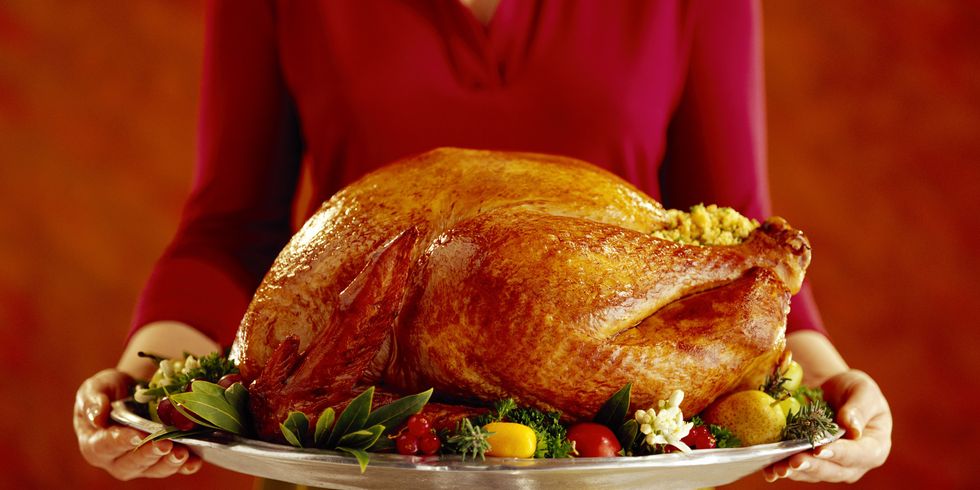 7 Turkey Tips to Be Thankful For