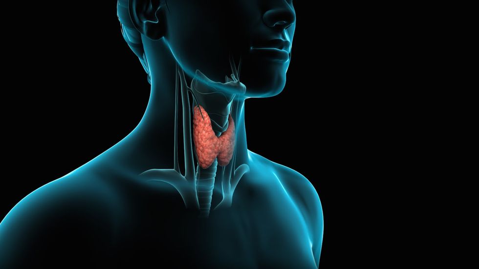 Why You Should Ask Your Doctor About Your Thyroid