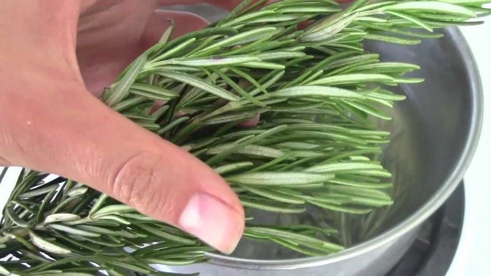 Why Rosemary Is The Most Important Plant For Health