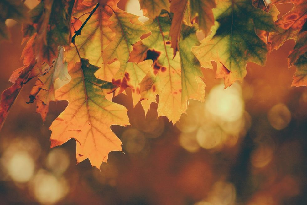 5 Reasons To Be Thankful In Every Season