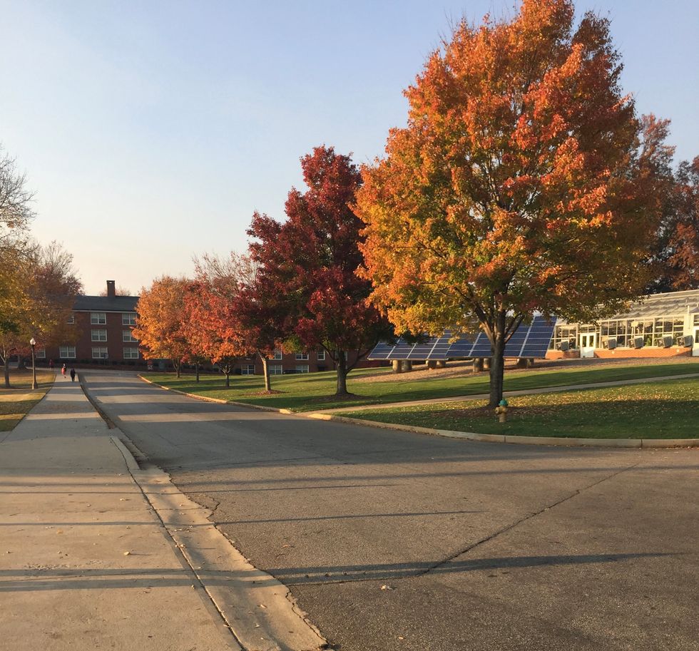 Gifs That Describe Going Home For Break