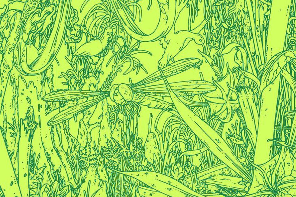 Annihilation: Not Your Average Sci-Fi Fantasy