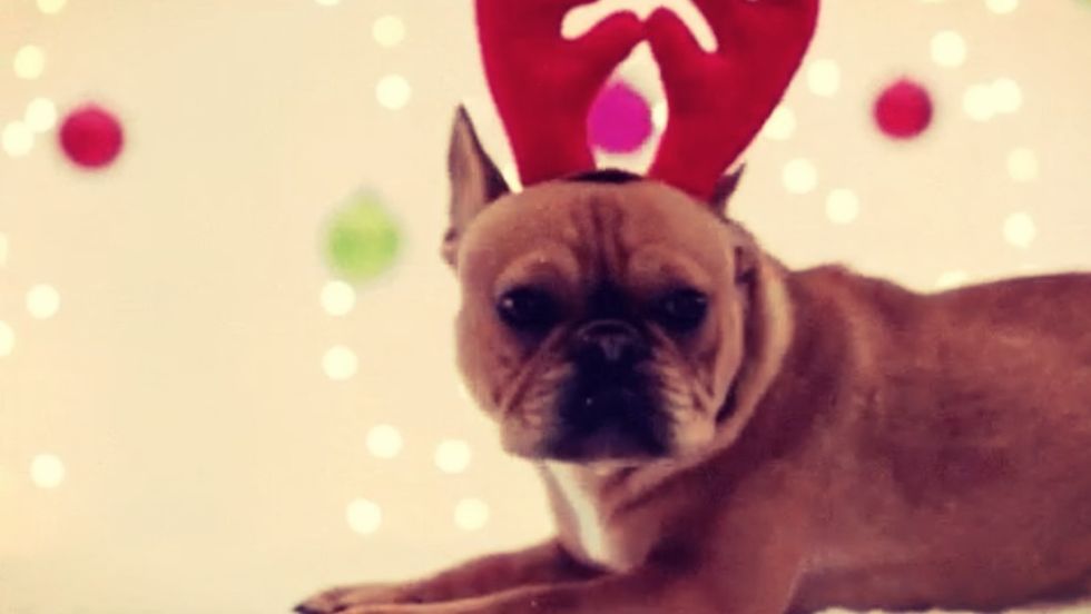 8 Gifs That Perfectly Describe Christmas
