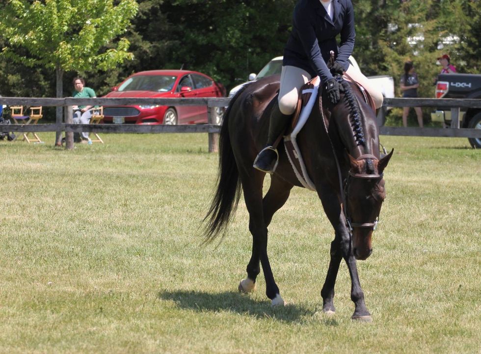 10 Things You Know To Be True If You're A Student Working For Your Horse Trainer