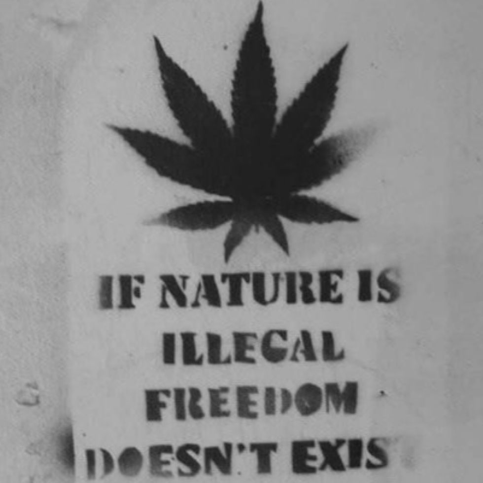 9 Reasons Why Weed Should Be Legal