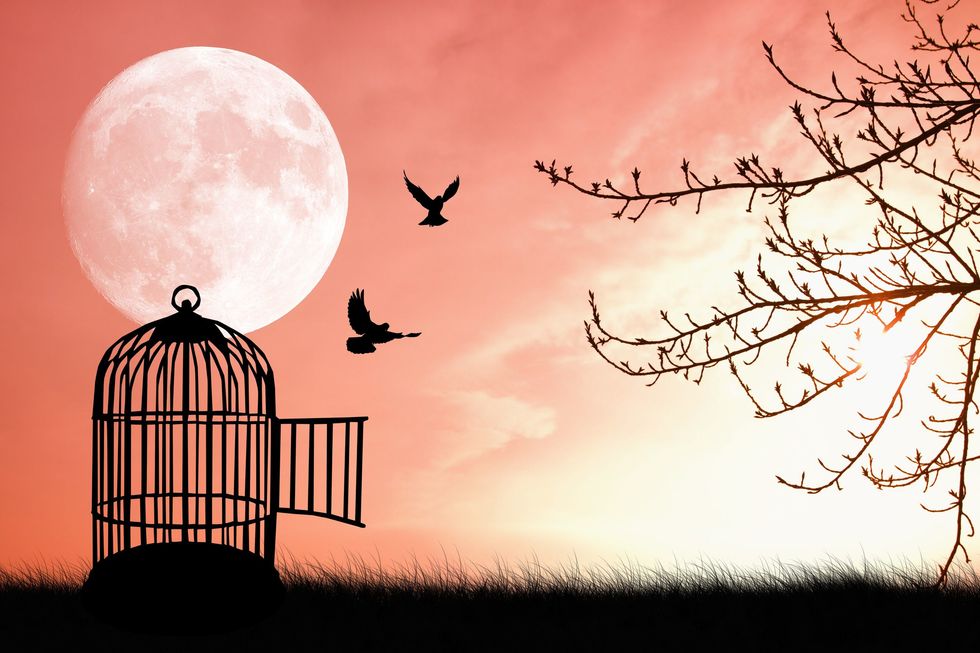 Feeling Everything Is Better Than Feeling Nothing At All