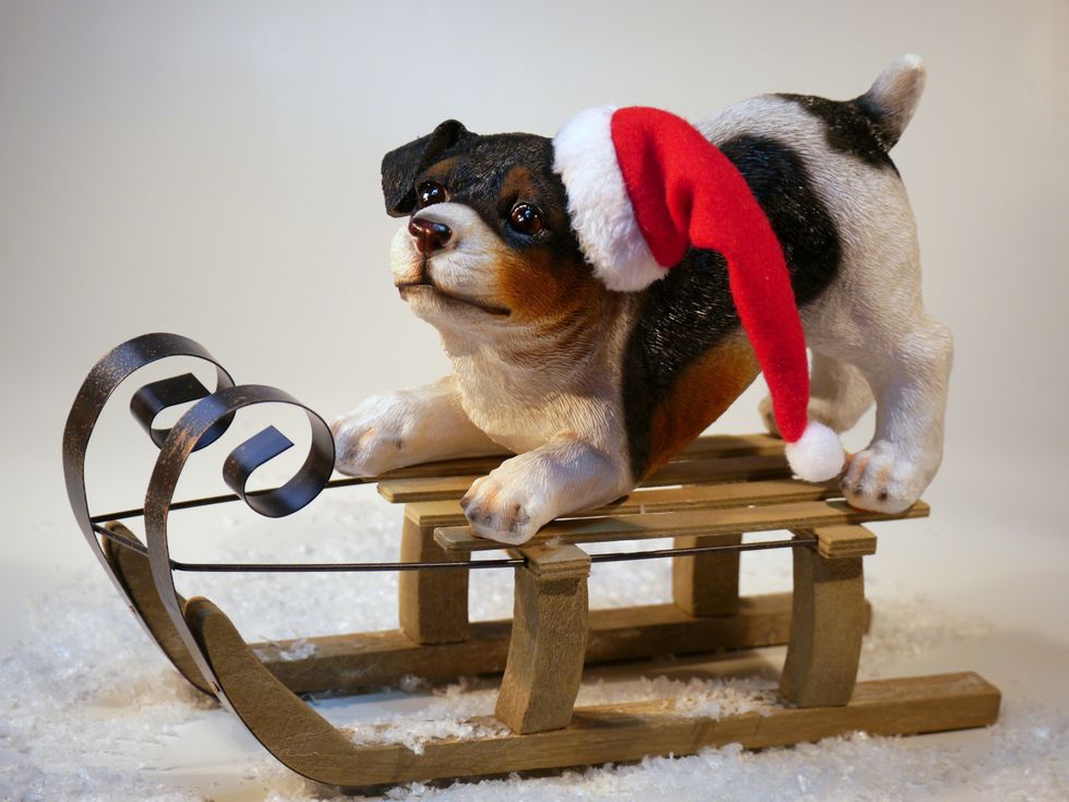 The 12 Dogs Of Christmas
