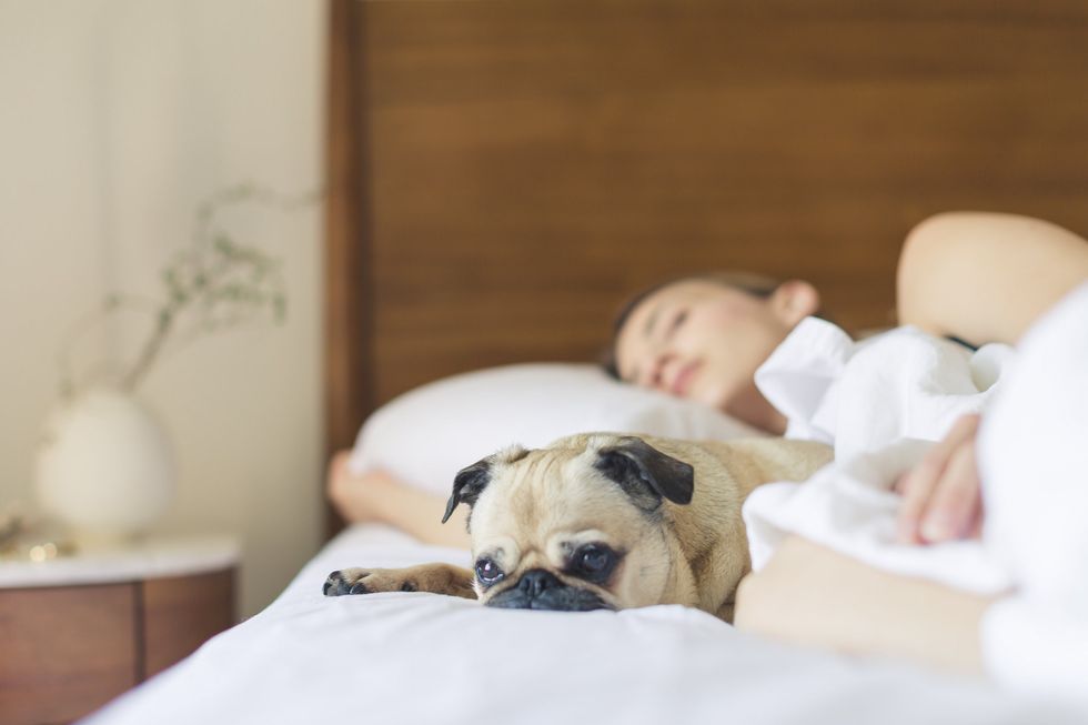 3 Easy Tricks For a Great Night's Sleep