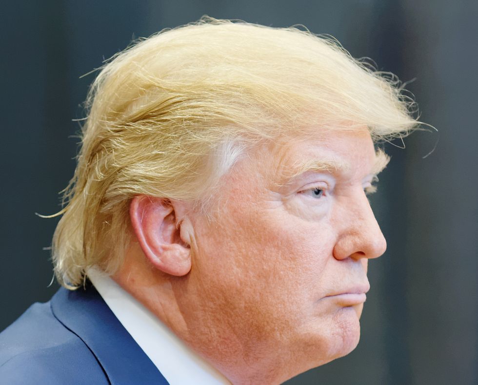 10 Things That Look Like Donald Trumps Hair