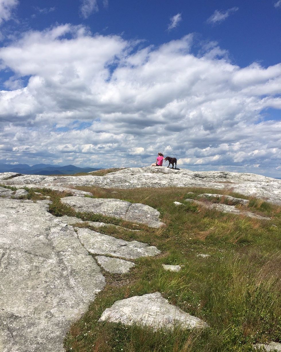 A Thank You Letter to My Dogs (From their Person over 1,000 Miles Away)