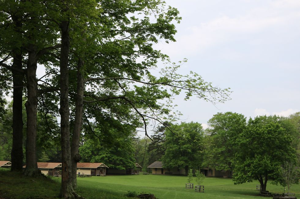 How a Log Is Used To Teach Children