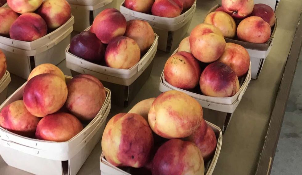 To My BFF Moving States