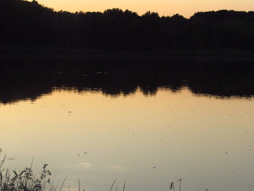 The Meaning Of Existence